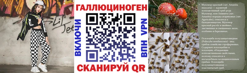 Галлюциногенные грибы Psilocybe  Купить  Пересвет 
